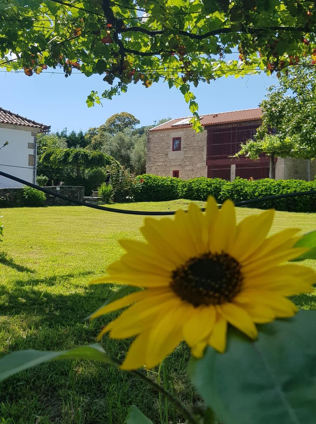 Casas Da Quinta Da Cancela Balugães Dış mekan fotoğraf